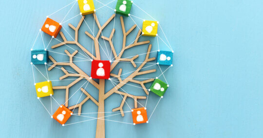 A minimalistic illustration of a family tree from the FamilyTreeNow Opt Out process.
