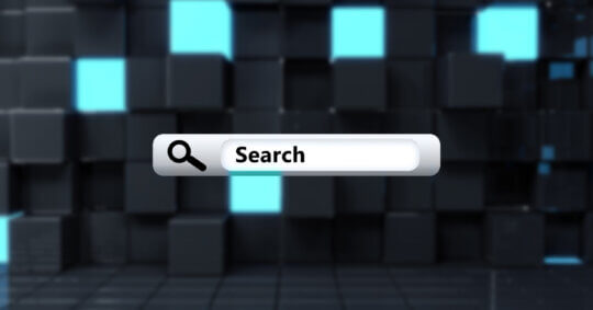 A search bar graphic that represents the NumLookup opt out process.